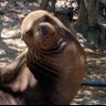 Solomia profil fotoğrafı