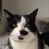 。 profil fotoğrafı