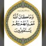 ناصر الفايز 的头像