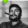 Castro 的头像