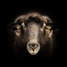 Profilbild von .