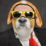 Profilbild von DMZ Dog LLC