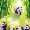 ken 的头像