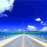 ファイヤ- 的头像