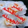 منهال منهال profil fotoğrafı
