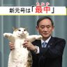 自由人おじさんくん♂ profil fotoğrafı