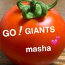とまと's profile picture