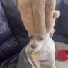 Treva's profile picture