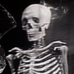 Dekchaiachi's profile picture