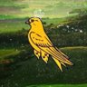 Profilbild von A Martlet