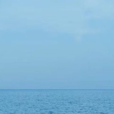 hanfengxia73660's profile picture