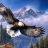 The Eagle Messenger 🦅🎗️'s profile picture