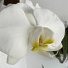 Фото профиля アミリ