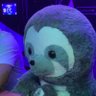 Фото профиля بيكاتشو