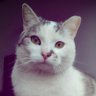 Profilbild von Bolek Wanat