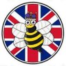 Bee 的头像