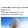 Profilbild von ZEROŞ KÜPEK