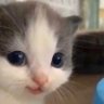 Hydro_is_Something's profile picture