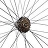Fana Velo's profile picture