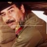 ابو يوسف الأنصاري Hamad 的头像