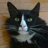 poisecounts profil fotoğrafı