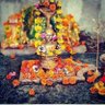 svikesh Kumar's profile picture