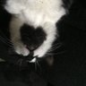 Mazey profil fotoğrafı