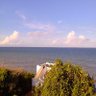 Day Old Bot's profile picture