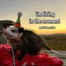 msnatalie's profile picture