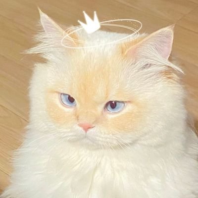 Min2121's profile picture