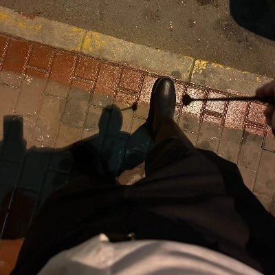 骑士少爷's profile picture