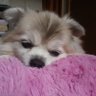 Profilbild von Kana