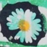 Turniips's profile picture