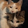 m,gh profil fotoğrafı