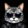 Muhammad Younas's profile picture