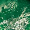 🌿 The Green Progressive 🌿's profile picture