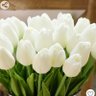 آمنة الحربي🇸🇦's profile picture