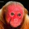 Kurdell's profile picture
