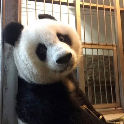 ૮ . ̫ . ა ⸝꙳'s profile picture