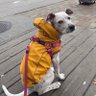 Фото профиля Mark G
