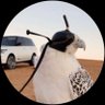 Abu Rakan profil fotoğrafı