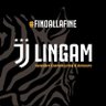 Profilbild von J Lingam