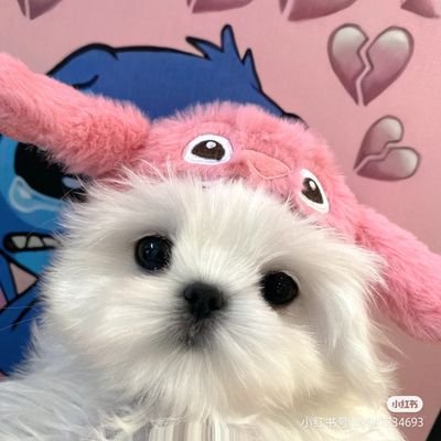 KIKI's profile picture