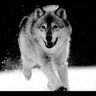 cestmoi's profile picture