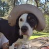 Ariel Francisco Aguilar's profile picture