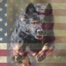 Andy Jones's profile picture