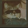 βrendaniels profil fotoğrafı