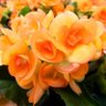 Фото профиля TheRitz 💛