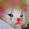 Ander's profile picture