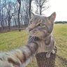 God profil fotoğrafı